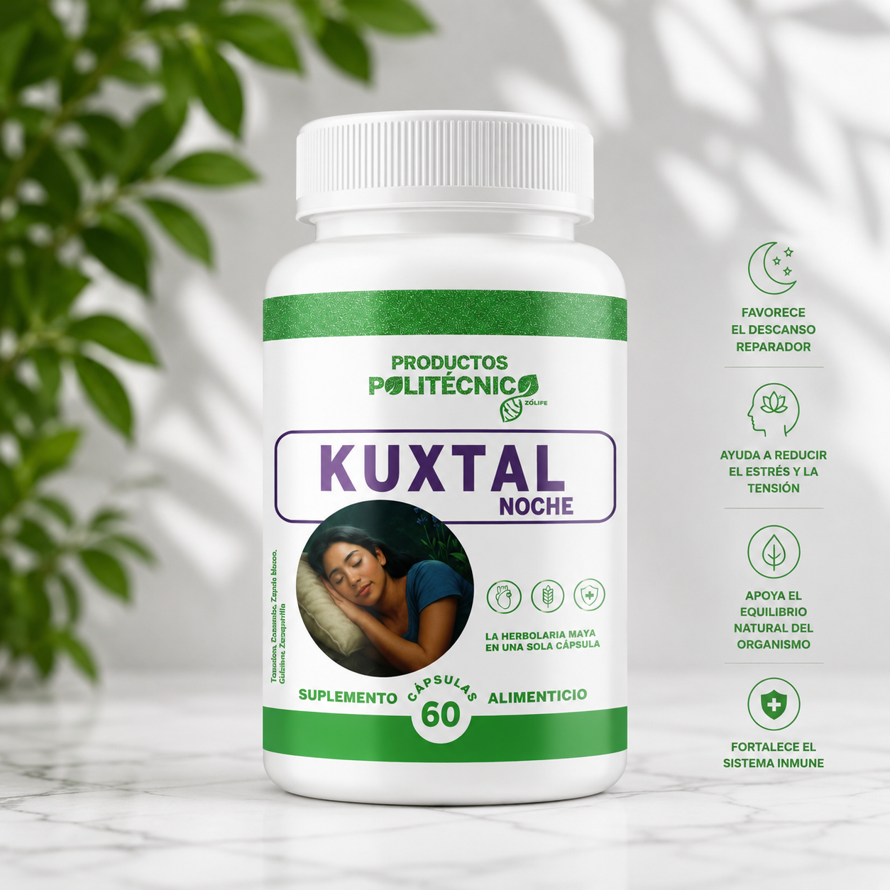 Kuxtal Noche Melatonina Triptófano Sueño Profundo Dormir