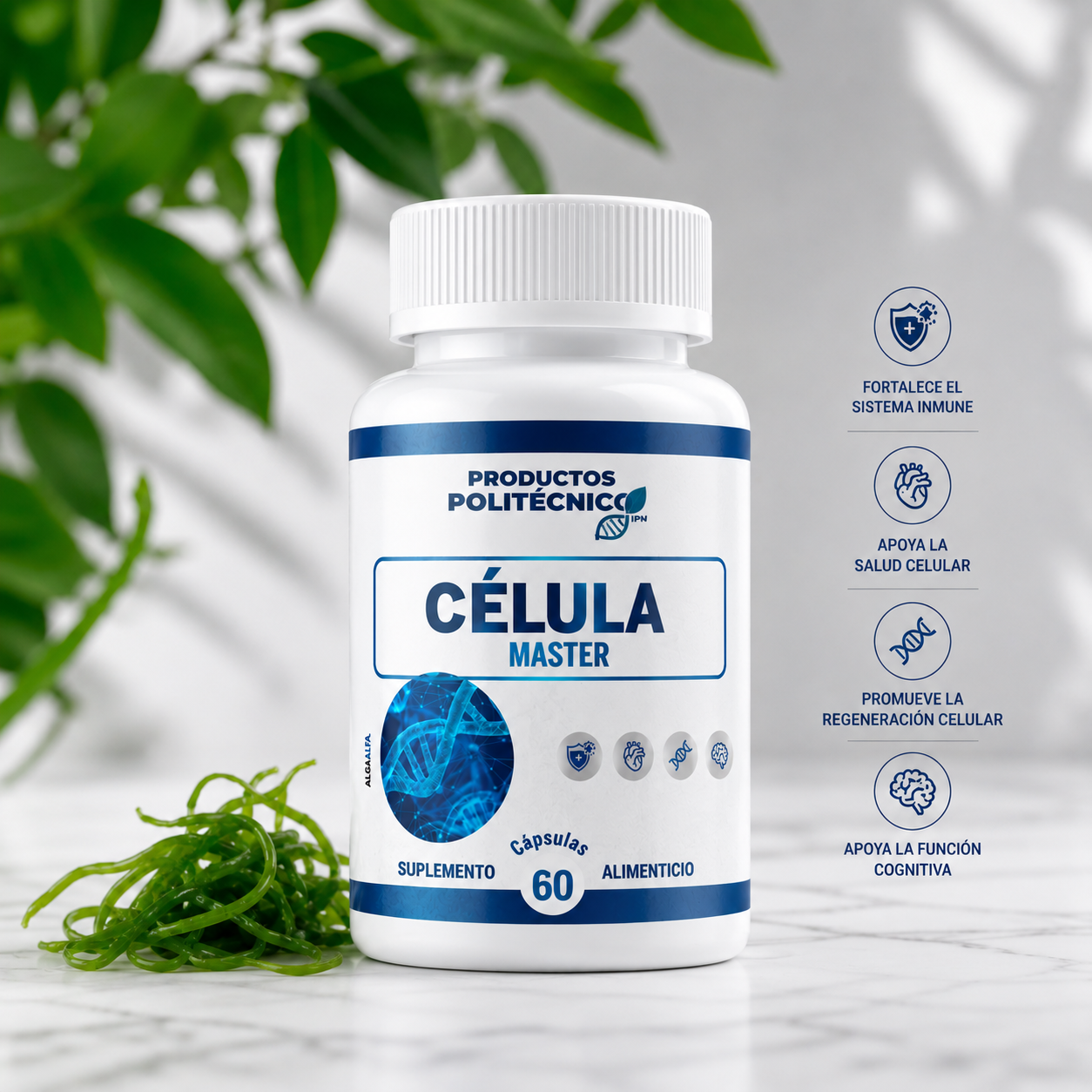 Célula Master Antioxidante | Energía y Bienestar Natural
